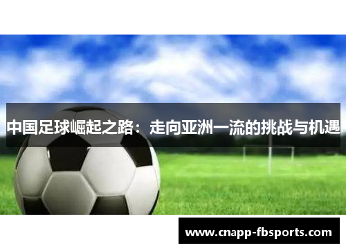中国足球崛起之路：走向亚洲一流的挑战与机遇