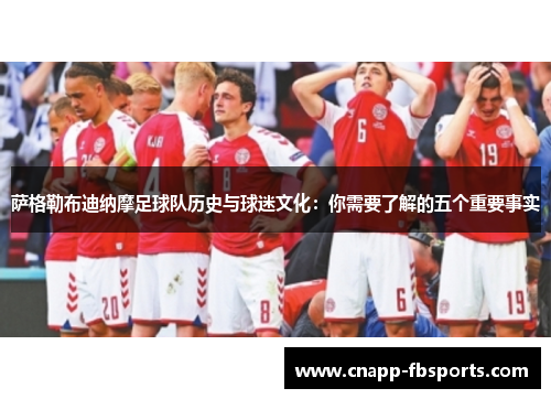 萨格勒布迪纳摩足球队历史与球迷文化：你需要了解的五个重要事实