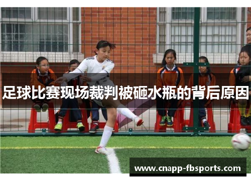 足球比赛现场裁判被砸水瓶的背后原因