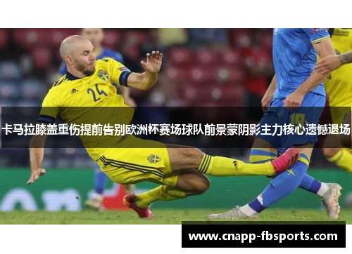 卡马拉膝盖重伤提前告别欧洲杯赛场球队前景蒙阴影主力核心遗憾退场