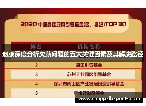 赵鹏深度分析欠薪问题的五大关键因素及其解决路径