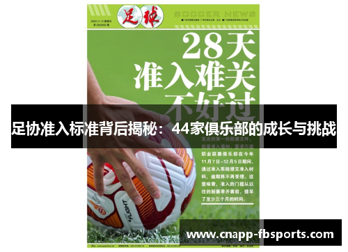 足协准入标准背后揭秘：44家俱乐部的成长与挑战