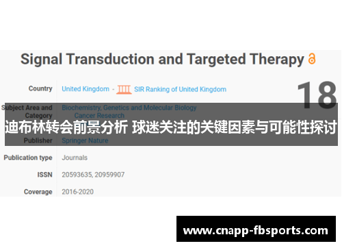 迪布林转会前景分析 球迷关注的关键因素与可能性探讨