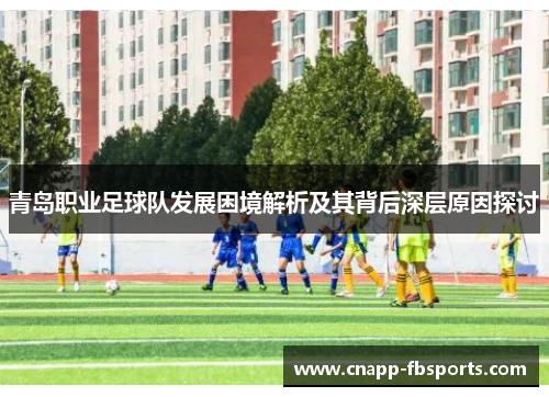 青岛职业足球队发展困境解析及其背后深层原因探讨